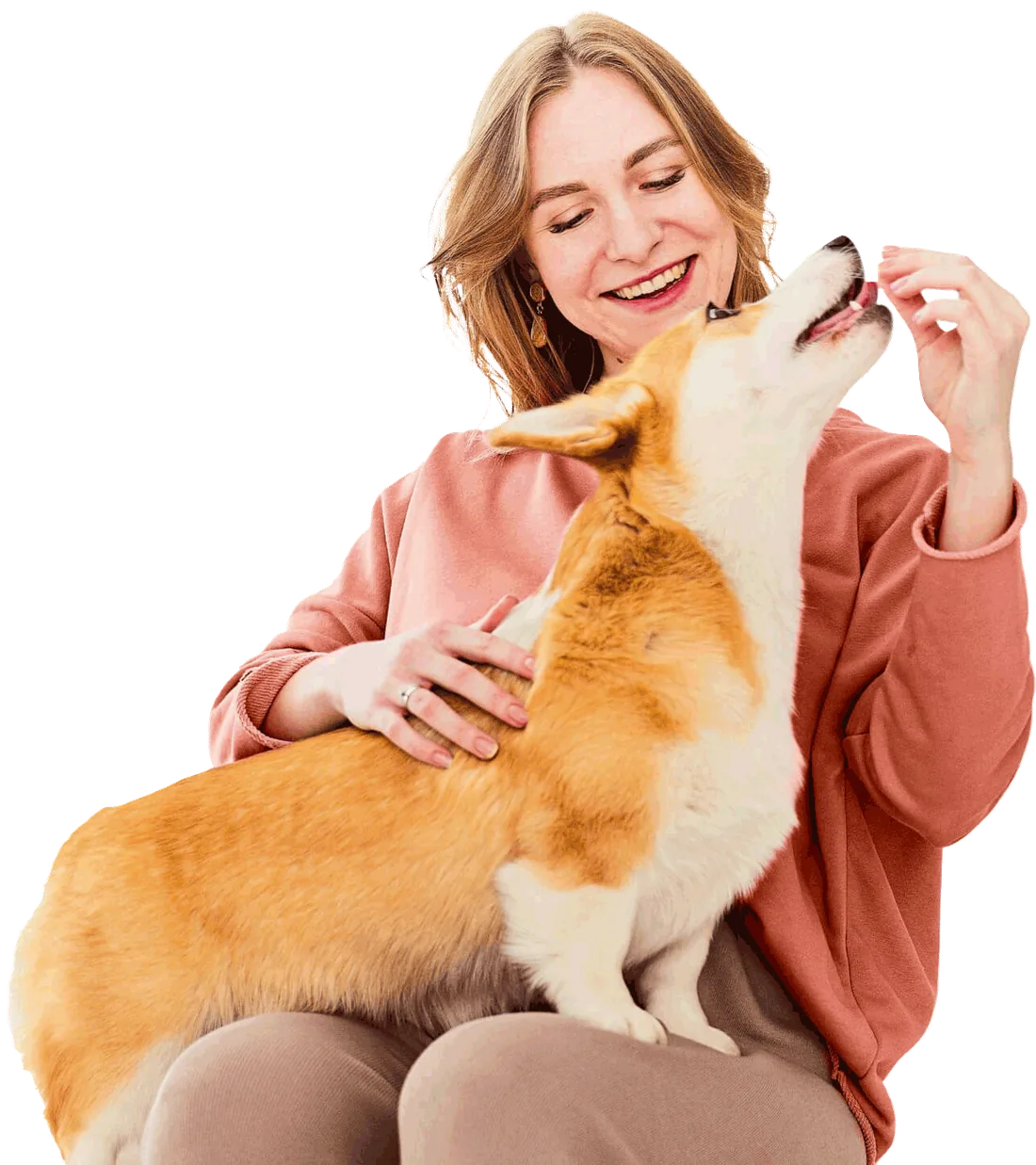 Smiling owner giving a treat to a corgi